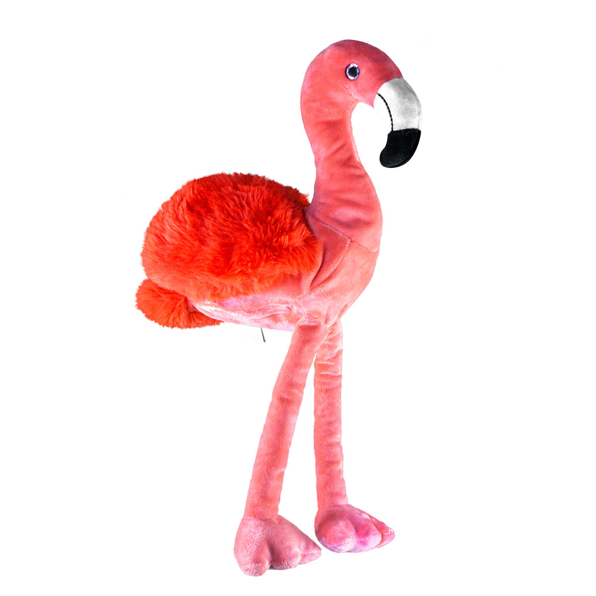Fabio the Flamingo