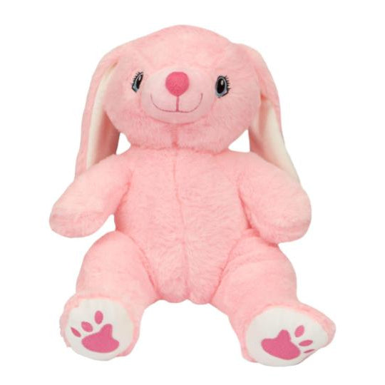 Ruby the Pink Rabbit