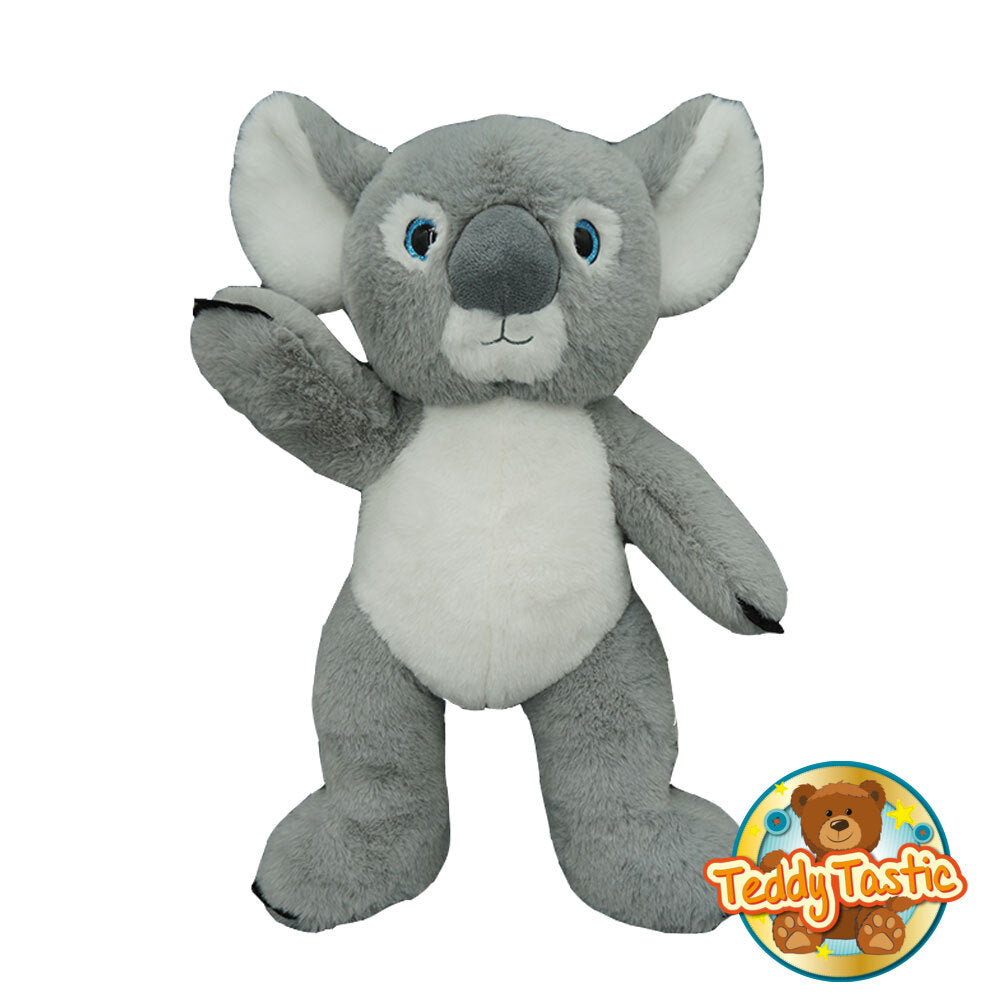Kyla the Koala