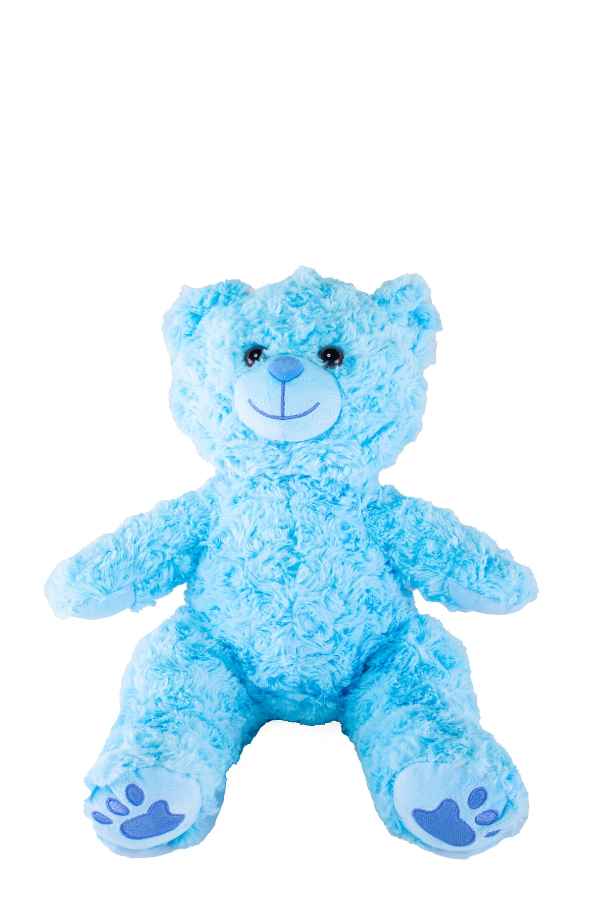 Skye the Blue Bear