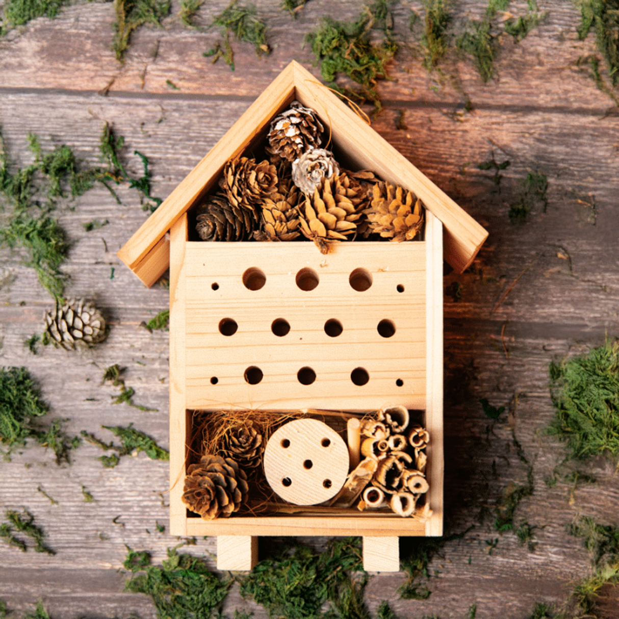 Bug Hotel