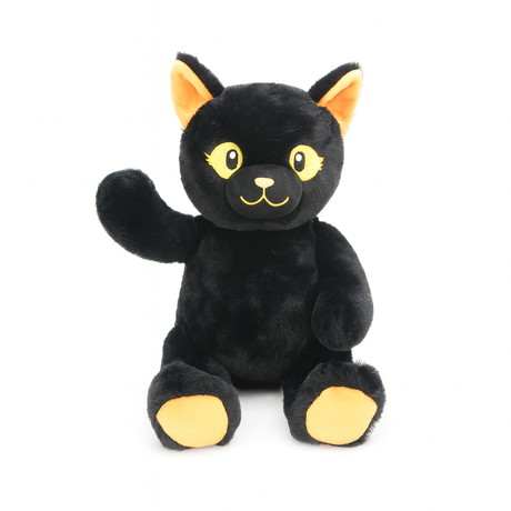 Lucky the Black Cat