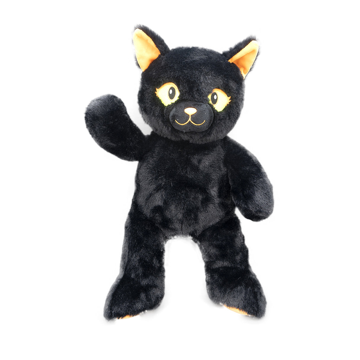 Lucky the Black Cat