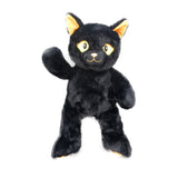 Lucky the Black Cat