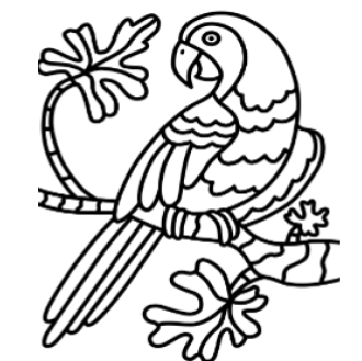 A4 Parrot Sand Art Picture (25 Pack)