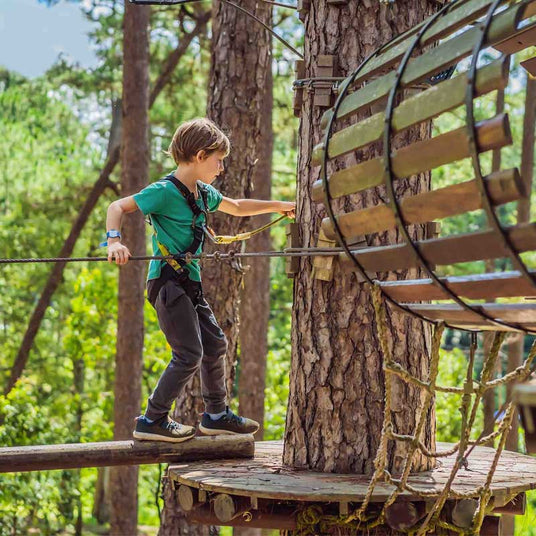 Child Tree Climbing at Centre Parcs