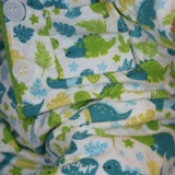 Dino Pyjamas