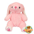 Ruby the Pink Rabbit