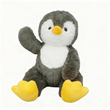 Cody the Grey baby Penguin