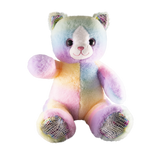Kitty the Colourful Cat