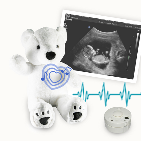 Perry the Polar Bear 16" Baby Heartbeat Bear
