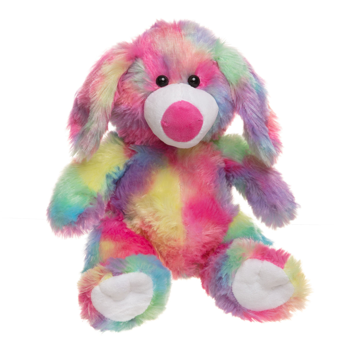 Sherbert the Dog
