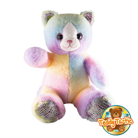 Kitty the Colourful Cat