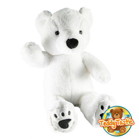 Pino the Polar Bear