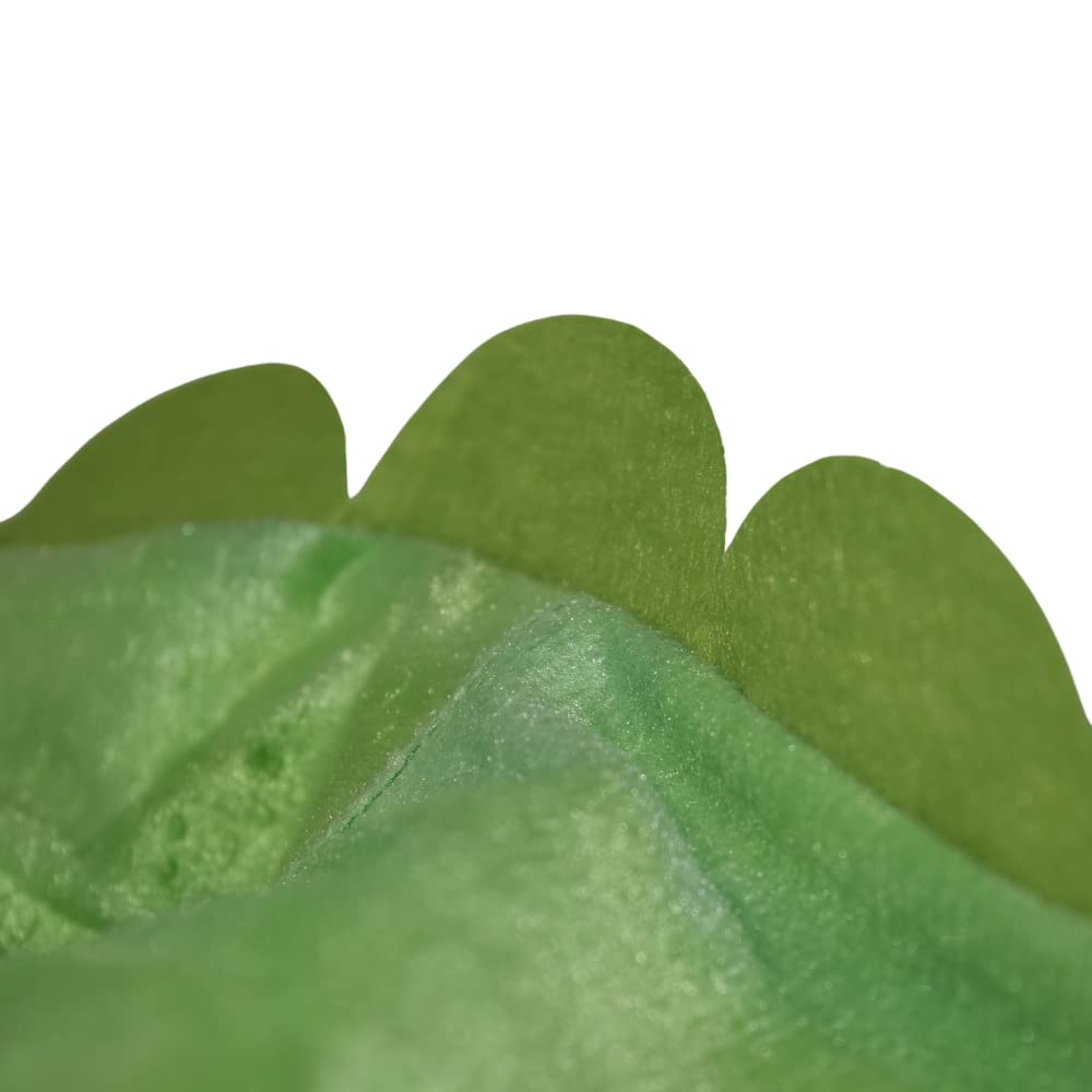 Dino Onesie