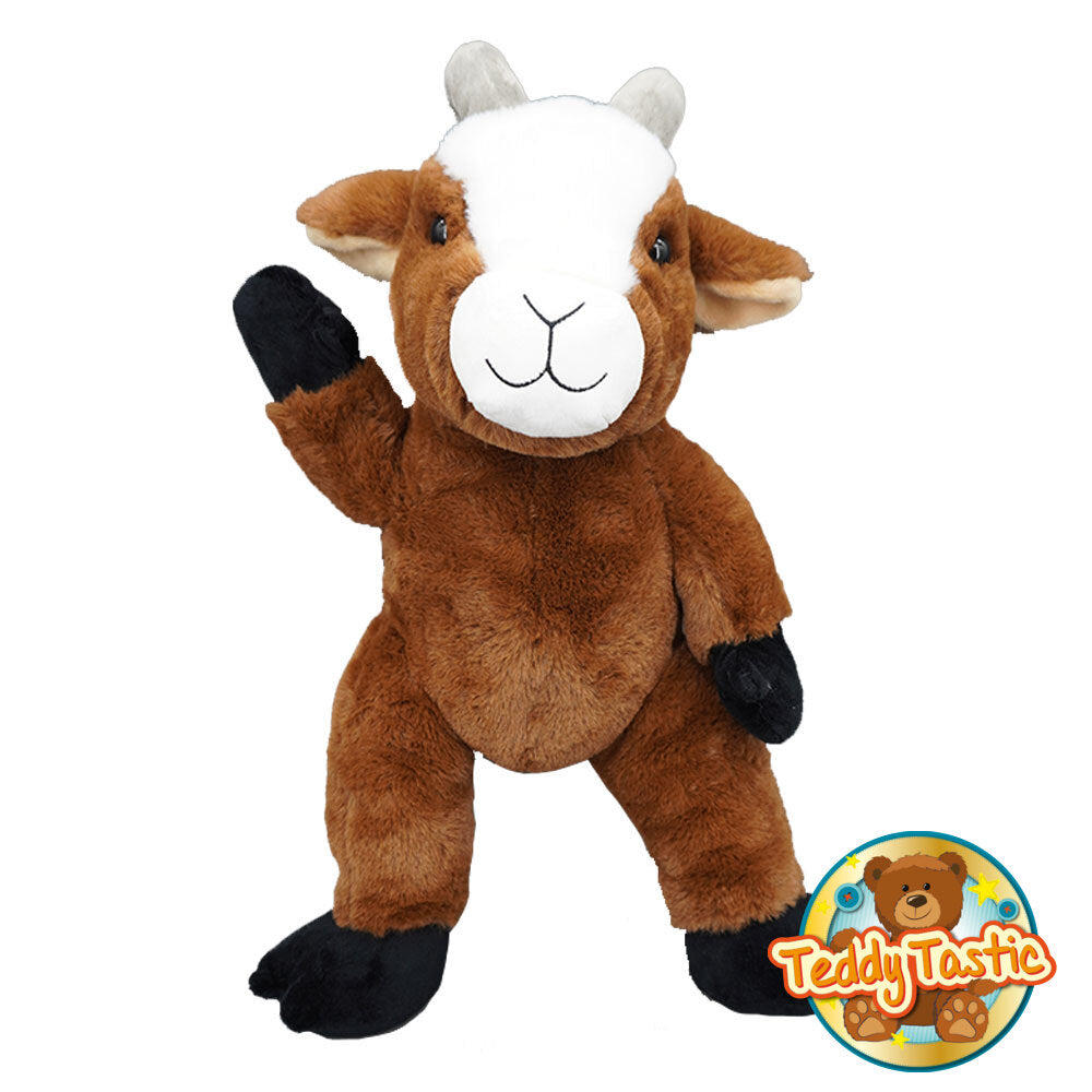 Gary the Goat