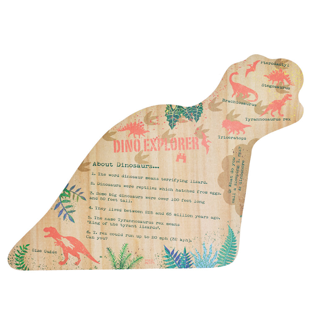 Dino Explorer Paper Place Mats (x12)
